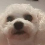 Alan Sienkiewicz - @alan_sienkiewicz_ - Instagram