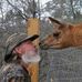 Alan Sigler - Facebook