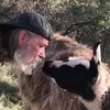 alansigler8 - @alansigler8 - TikTok