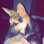 Kenai Alan Sigler - @kenaisigler - Instagram