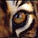 Alan Silverman - Facebook