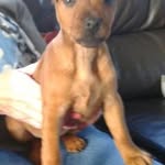 Alan Silvey - @alancanadaalberta - Instagram