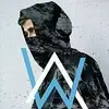 Alan Song - @alansong - TikTok