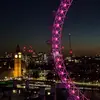 Alan Song - @alan.song14 - TikTok