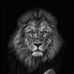 Alan Sousa - Facebook
