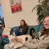 Alan Stahl - @alan.stahl7 - TikTok
