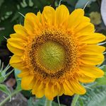 Alan Staniforth - @alan.staniforth.71 - Instagram