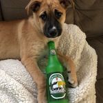 Alan Stanton - @alan.stanton.376 - Instagram