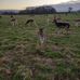 Alan Stapleton - Facebook