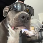 Alan Stapleton - @alstapleton83 - Instagram