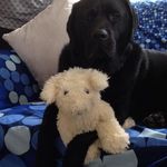 Alan Stark - @a14noh2000 - Instagram