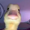 alanstark526 - @alanstark526 - TikTok