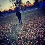 Zalanvok - @steigervaldzalan - Instagram