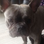 Alan Stirling - @alanstirling09 - Instagram