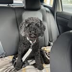 Alan Stockwell - @alanstockwell62 - Instagram