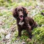 Alan Strickland - @strickland1830 - Instagram