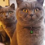 Alan Strickland - @alan.strickland25 - Instagram