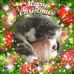 Allan Struthers - Facebook