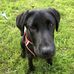 Alan Swann - Facebook
