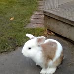 Alan Swanson - @alan.swanson.798 - Instagram
