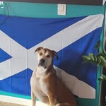 Alan Swanson - @alan.swanson.94 - Instagram