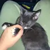 alan_sweat - @alan_sweat - TikTok