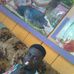 Alan Tash - Facebook