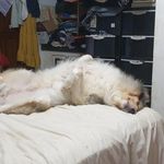 Alan tasker - @tasker8321 - Instagram