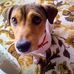 Alan Tate - Facebook
