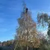 Allan Tattersall - @allan.tattersall - TikTok