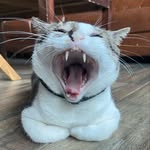 Alan Tay - @alantay0923 - Instagram