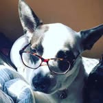 Alan Taylor - @alantaylor8 - Instagram