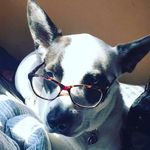 Alan Taylor - @alantaylor8 - Instagram