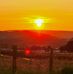 Alan Taylor - Facebook