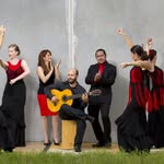 Alante Flamenco - @alanteflamenco - Instagram
