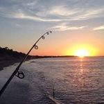 Alan Teague - @alanedwardteague - Instagram