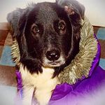 Alan Teague - @dinnerbug1 - Instagram