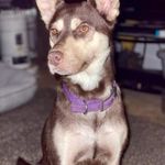 Alan Teague - @alanteague1965 - Instagram