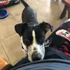 alanteague7 - @alanteague7 - TikTok