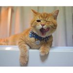 Teague Alan - @teague_alan - Instagram