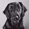 alanteal - @alanteal - TikTok