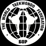 BorTeamKwon - @alanteamkwon - Instagram