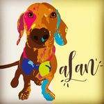 Alan - @alan_teckel - Instagram