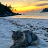 Alan Tee - @alan.tee22 - TikTok