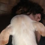 A - @_.alan_tejada - Instagram