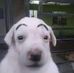 Alan Tejada - Facebook