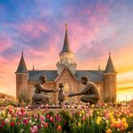 Alan Fullmer Temple Photography - @alanfullmertemplephotography - Instagram