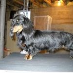 David Alan Temple - @templedox - Instagram