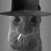 Alan Tenchil - @alantenchil - TikTok