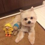 Alan Teng - @dengwenyu7 - Instagram